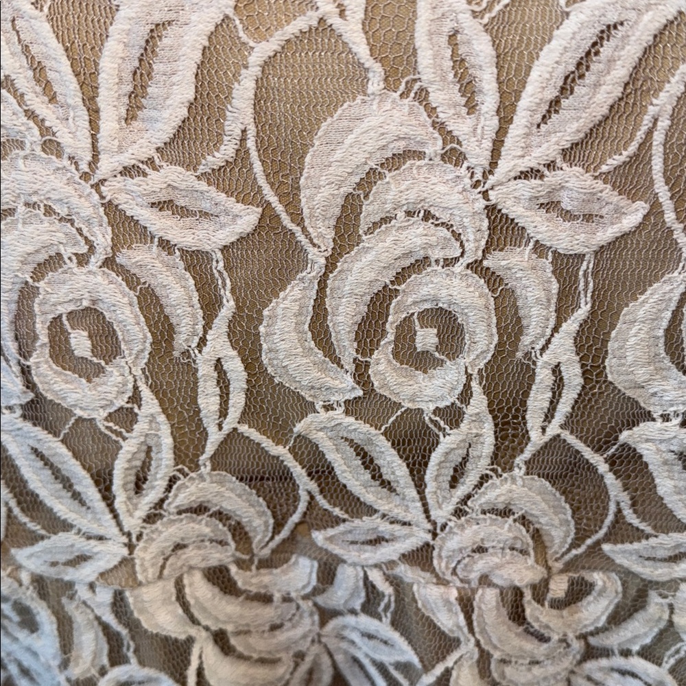 Philosophy Petite Lace Dress - Picture 2 of 6
